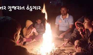 ઉત્તર ગુજરાતમાં તાપમાનનો પારો ઘટ્યો : ગાત્રો થીજવી દે તેવી ઠંડી : જુઓ વિડીયો