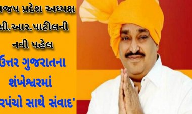 મોદીના પગલે પાટીલ : ઉ.ગુ.ના શંખેશ્વરમાં આજે 200 જેટલા સ્માર્ટ સરપંચો સાથે કરશે સીધો સંવાદ, જાણો-શુ છે સમગ્ર કાર્યક્રમ