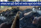 દુર્ઘટના/ નજીકમાં ફાયર સ્ટેશનના અભાવે તબેલામાં આગ લાગતાં 16 ગાય-વાછરડા અને 1 ઘોડીનું મોત