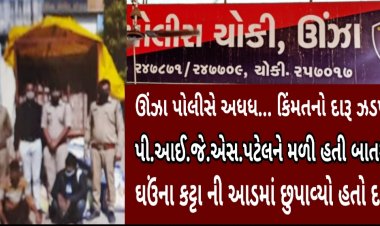 ઊંઝા પોલીસે 320 પેટી દારૂ ભરેલી આખી ટ્રક ઝડપી પાડી : 25.17 લાખનો મુદ્દામાલ કબ્જે