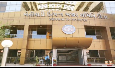 ઊંઝા : 15 કરોડ સેસ કૌભાંડના આક્ષેપ દ્વારા APMC ને બદનામ કરવામાં પરોક્ષ ભૂમિકા ભજવનાર ધમા મિલન અને સંજય ઉર્ફે શંકર પટેલ ખુદ કાયદાના ગુનેગાર !