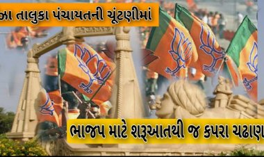ઊંઝા તાલુકા પંચાયતની ચૂંટણીમાં ભાજપ માટે શરૂઆતથી જ કપરા ચઢાણ ? ટીકીટ ફાળવણી પ્રક્રિયા પૂર્વે જ તાલુકા સંગઠન સામે અનેક તર્ક-વિતર્ક !