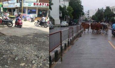 સુરત : કતારગામમાં ભાજપના પૂર્વ નગર સેવકો સામે કઈ સમસ્યાઓને લઈ મતદારોમાં છે નારાજગી ?