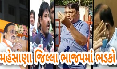 મહેસાણા નગર પાલિકામાં ભાજપે ટિકિટો ફાળવવામાં સોદાબાજી કરી હોવાનો આક્ષેપ, વિડીયો વાયરલ