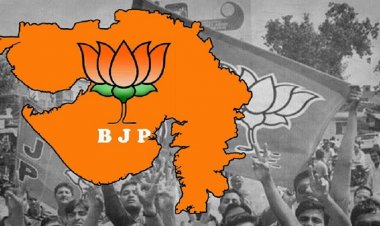 નેતાઓના સડક છાપ નિવેદનોથી ભાજપ બદનામ : ભાજપના નેતાનો ધમકી આપતો ઓડિયો વાયરલ
