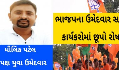 કામલી સીટ પર ભાજપના દિગજ્જ નેતાના સંબંધીને ટીકીટ આપતા છૂપો રોષ : અપક્ષને જીતાડવા મતદારો મેદાનમાં