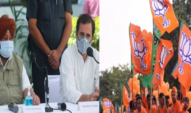 પંજાબ : સ્થાનિક સ્વરાજ્યના ચૂંટણી પરિણામોમાં ભાજપને ઝટકો, કોંગ્રેસ ગેલમાં