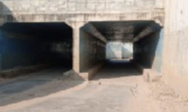 ઊંઝા :  દીહોડ ફાટક અંડર બ્રિજમાં પડેલ ભ્રષ્ટાચારનાં ગાબડાં પૂરવા યુવા નગરસેવક ભાવેશ પટેલની કલેકટરને રજૂઆત