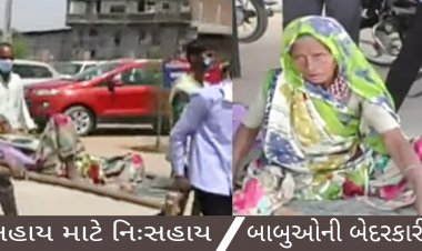 રૂપાણી સરકારની લાલીયાવાડી : નિઃસંતાન, અપંગ, વિધવા મહિલાની 'વિધવા સહાય' યોજનાનો લાભ મેળવવા માટેની દર્દ ભરી કહાની, કિસ્સો વાંચી તમને સરકાર સામે આવશે ગુસ્સો