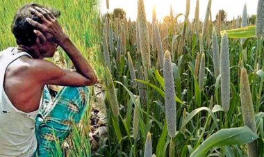 મોંઘવારીનો માર : ખેડૂતો પરેશાન! ખાતર, ડીઝલ બાદ બિયારણના ભાવમાં 30 થી 40 ટકાનો વધારો