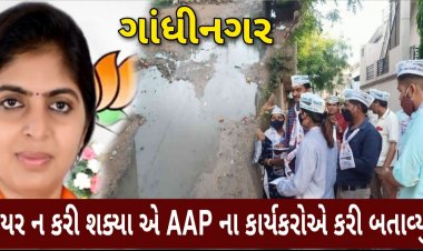 ગાંધીનગર : AAP ના કાર્યકરોએ કર્યું એવું કામ કે ભાજપનાં મેયર શોભાના ગાંઠિયા સાબિત થયાં, લોકોમાં ભાજપ સામે ઉગ્ર આક્રોશ