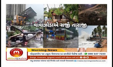 તૌકતે એ સર્જી તારાજી : જુદી જુદી ઘટનાઓમાં 14 ના મોત, ગુજરાત,મહારાષ્ટ્રમાં ભારે અસરો, જુઓ વાયરલ વિડીયો