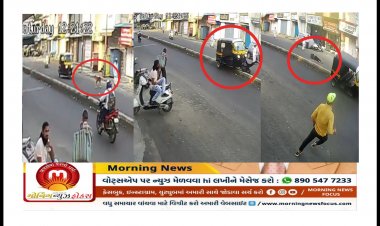 લાલબત્તી સમાન કિસ્સો : રીક્ષા ચાલકે કૂતરાને બચાવવા ચાલુ રીક્ષાએ લાત મારી અને કાબૂ ગુમાવ્યો, જાણો- પછી શું થયું ? જુઓ વિડીયો