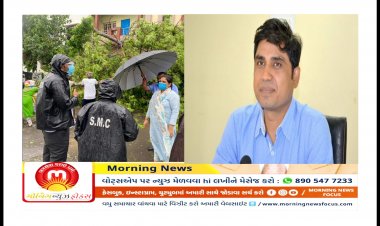 સુરતમાં વાવાઝોડાને પરિણામે 300 જેટલા વૃક્ષો ધરાશયી થયા : પાલિકાએ આ માટે લીધો મહત્વનો નિર્ણય, જાણીને કરશો પ્રસંશા