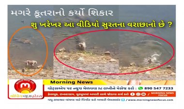 Factcheck : શ્વાન નો શિકાર કરતો મગરનો વિડીયો સુરતની તાપી નદી નો હોવાનો દાવો કેટલો સાચો ? ખરેખર આ વીડિયો ક્યાંનો છે ? જાણો સત્ય