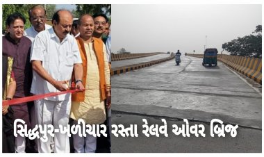 સિદ્ધપુર : નવનિર્મિત ખળીચાર રસ્તા રેલવે ઓવર બ્રિજની હલકી કામગીરીને લઈ કોણે આપ્યા તપાસના આદેશ? જાણો શુ છે મામલો