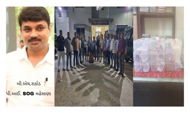 ઊંઝા માથી મહેસાણા SOG એ 30 લાખનું ડ્રગ્સ ઝડપ્યું : જાણો કેવી રીતે પાર પાડ્યું ઓપરેશન
