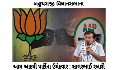 ભાજપને હંફાવવા AAP નો માસ્ટર ટ્રોક : બેચરાજી સીટ પર AAP નું ડોર ટુ ડોર મિશન