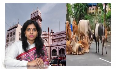 સુરત : શહેરીજનોને રખડતા ઢોરના ત્રાસ માંથી મળશે મુક્તિ : પાલિકા-પોલીસનો સંયુક્ત એક્શન પ્લાન