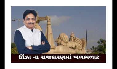 વિસનગર અને ઊંઝા એમ બે વિધાનસભા સીટ પર ભાજપના ઋષીકેશ પટેલે  શા માટે નોંધાવી દાવેદારી ? જાણો- શુ છે કારણ ?