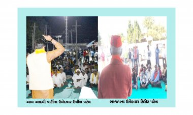 ઊંઝા : ગ્રામ્ય વિસ્તારોમાં ભાજપને નબળો પ્રતિસાદ ! AAP ની સભાઓમાં સ્વયંભૂ લોકોની હાજરી