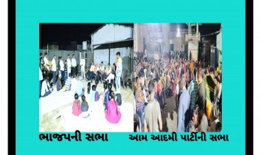 વિજાપુર : ભાજપની સભાઓમાં લોકોની પાંખી હાજરી, AAP ની સભાઓમાં લોકો સ્વયંભૂ ઉમટી પડે છે, જાણો કારણ