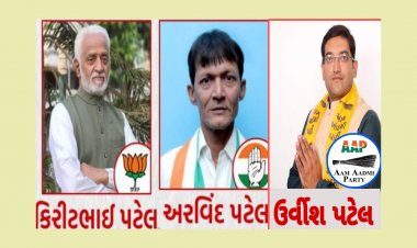 ઊંઝા : ભાજપ, આપ અને કોંગ્રેસ પૈકી કયા ઉમેદવાર છે કરોડપતિ ? કોની પાસે છે કેટલી મિલકત? જાણો