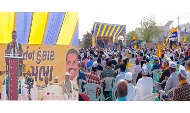 વિસનગર : AAP ની સભામાં સ્વયંભૂ માનવ મહેરામણ ઉમટયું : અલ્પેશ કથીરિયાએ આરોગ્યમંત્રી પર કર્યો પ્રહાર