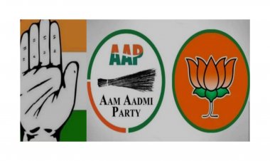 મહેસાણાની સાત બેઠકો પર કોનો ચાલશે જાદુ? AAP અને કોંગ્રેસ કઈ બેઠકો પર ભાજપને કરી શકે છે નુકશાન?