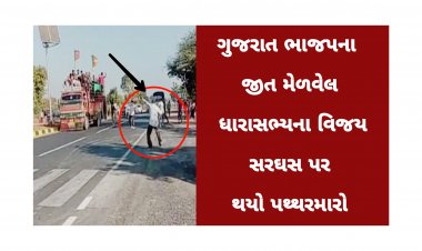 ગુજરાત ભાજપના વિજેતા બનેલ નેતાના વિજય સરઘસ પર થયો પથ્થરમારો, વીડિયો થયો વાયરલ