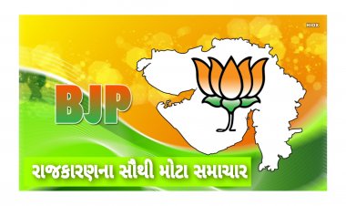 Exclusive : ગુજરાત ભાજપના 9 નેતાઓની હકાલપટ્ટી થી ખળભળાટ