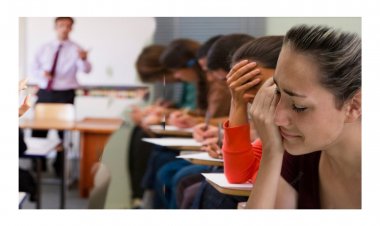 પ્રોફેસર એવું તે શું બોલ્યા કે વર્ગખંડમાં છોકરીઓ એકાએક રડવા લાગી ?