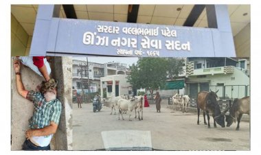 ઊંઝા : ભાજપ શાસિત  ન.પા.ના શાસકો 'તબેલા માંથી ઘોડા છૂટયા બાદ તાળા મારવા નીકળ્યા' : લોકોમાં આક્રોશ