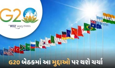 G20 બેઠકમાં થશે આ મુદ્દા પર ચર્ચા