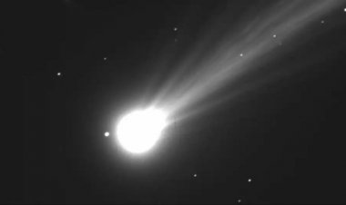 બ્રેકિંગ :400 વર્ષ બાદ દેખાશે નીશીમુરા