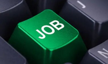 નોકરી શોધી રહ્યા યુવાનો માટે સારા સમાચાર