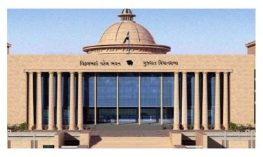 સરકારની ખૂલી પોલ : રાજ્યમાં 88 યુનિવર્સિટીઓ, 2371 કોલેજો પાસે NAACની માન્યતા નથી, 926 સ્કૂલોમાં માત્ર એક જ શિક્ષક!