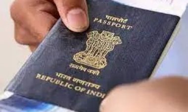 જાન્યુઆરીથી જૂનના ગાળામાં ભારતીયો દ્વારા ૩૦ લાખ વિઝાની અરજી