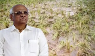 મુખ્યમંત્રી ભૂપેન્દ્ર પટેલ સરકારે કૃષિ રાહત પેકેજ જાહેર કર્યું