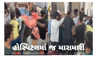 વડોદરામાં મોડી રાત્રે હોસ્પિટલમાં જ મારા મારી થતાં તંત્રની સિક્યુરિટી વ્યવસ્થા સામે ઉઠ્યા સવાલ