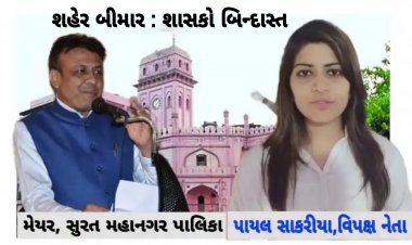 સુરત : શહેર બીમાર, શાસકો બિન્દાસ્ત : ડેન્ગ્યુ - મેલેરિયાના કેસોનો ઉપદ્રવ વધ્યો