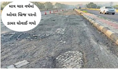 લ્યો બોલો ! માત્ર ચાર વર્ષમાં ઓવર બ્રિજ પરનો ડામર ધોવાઈ ગયો : તંત્રના આંખ આડા કાન