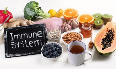 બદલતા હવામાનથી કયા ફૂડ થી રોગપ્રતિકારક શક્તિ વધશે