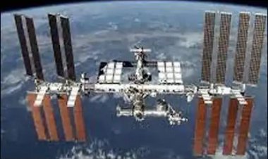 આંતરરાષ્‍ટ્રીય સ્‍પેસ સ્‍ટેશન પર જાપાની વૈજ્ઞાનિકોએ વિકસાવ્‍યા ઉંદરોના ભ્રૂણ