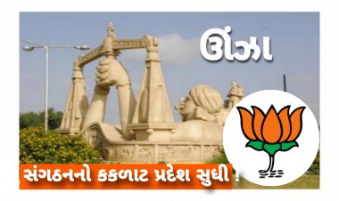 ઊંઝા : ભાજપ શહેર અને તાલુકા સંગઠનમાં મોટા ફેરફારના એંધાણ!