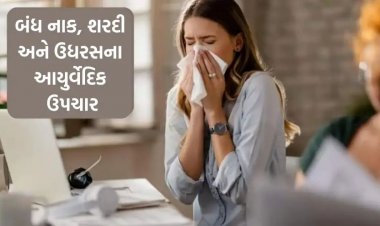 Ayurvedic Remedies: બદલાતી ઋતુમાં નાક બંધ થઈ ગયું છે? શ્વાસ લેવામાં તકલીફ હોય તો આ 5 આયુર્વેદિક ઉપચાર કરો