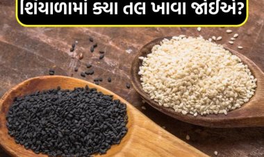 શિયાળામાં ક્યા તલ ખાવા જોઈએ? સફેદ અને કાળા તલમાં શું હોય છે ફરક
