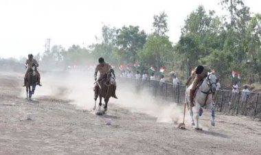 અમરેલી જિલ્લાના લાઠી તાલુકાના દુધાળા સ્થિત હેતની હવેલી ખાતે રાજ્યના પ્રથમ 'જળ ઉત્સવ'ના પ્રારંભે ભવ્ય 'હોર્સ શો' યોજાયો