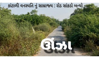 ઊંઝા : વિકસિત તાલુકાની કાંટાળી તસ્વીર : રોડ રસ્તાઓ મુદ્દે લોકોમાં આક્રોશ ! ધારાસભ્યની નિષ્ક્રિયતા ?