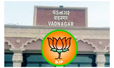 કાનાફૂસી ! વડનગર શહેર ભાજપ પ્રમુખ ક્યારે બદલાશે ? જિલ્લા ભાજપ પ્રમુખે આપ્યો ગોળ ગોળ જવાબ, જાણો શું કહ્યું ?